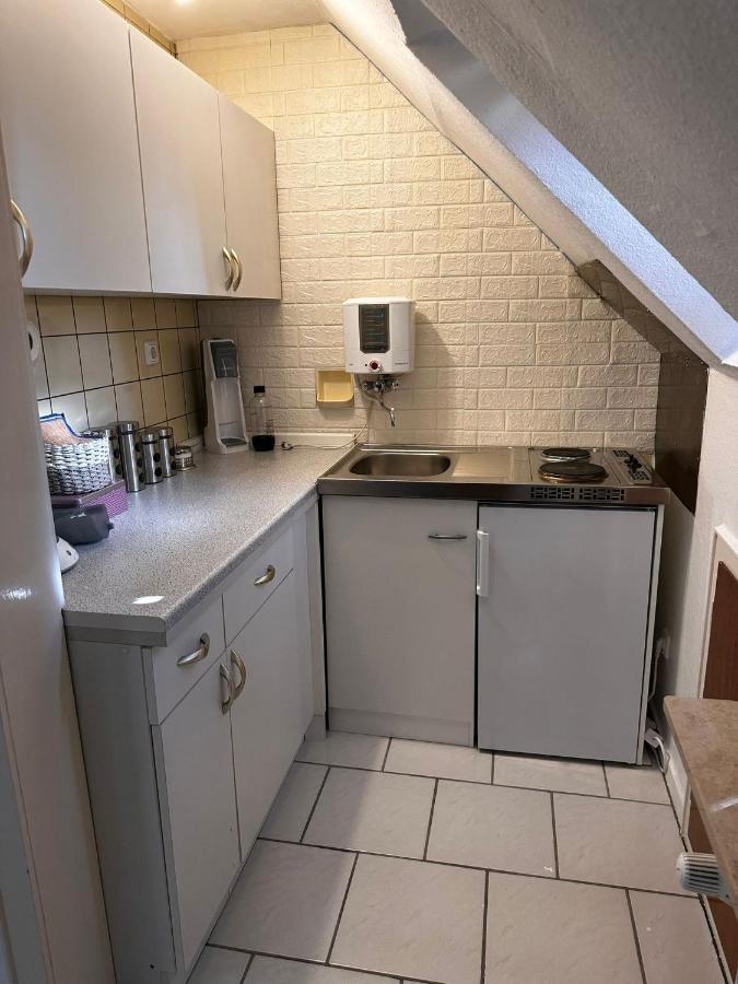 A&V Apartments Gemuetliche Rheinblick Wohnung Apt Daisy 뒤스부르크 외부 사진